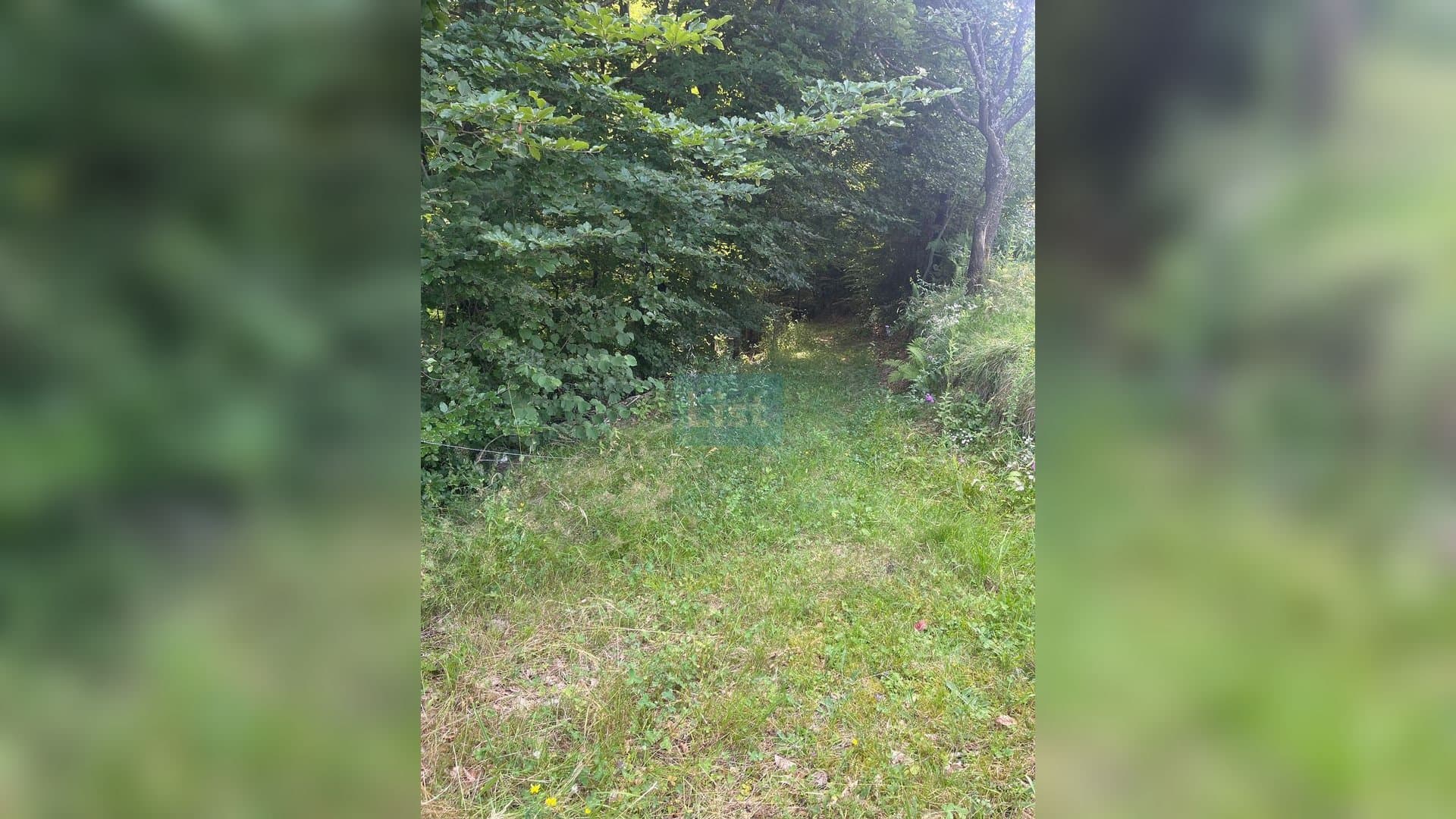 Teren cu potențial turistic, 2 parcele de 10.000 mp Sacuieu,Cluj — 12