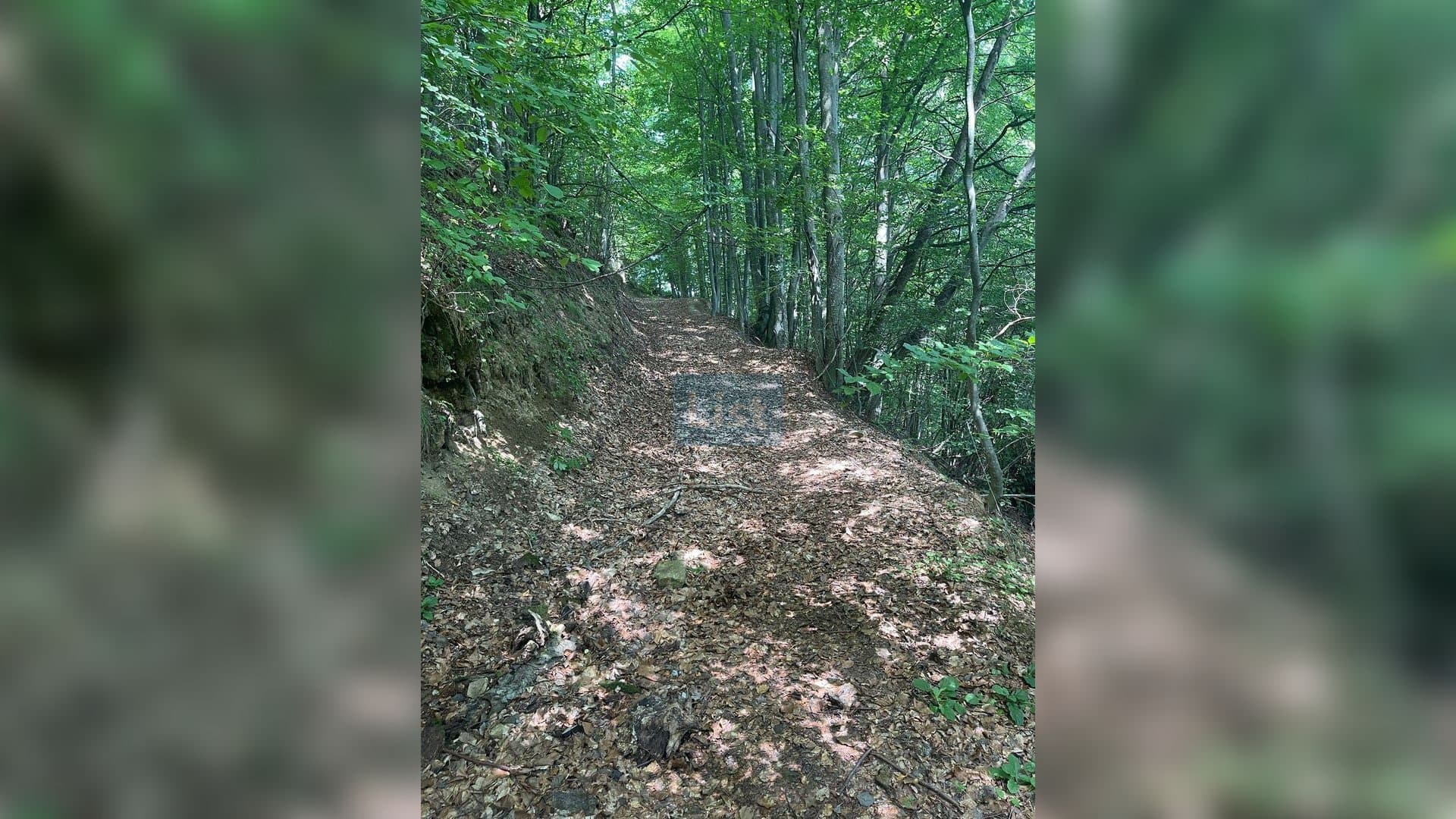 Teren cu potențial turistic, 2 parcele de 10.000 mp Sacuieu,Cluj — 10
