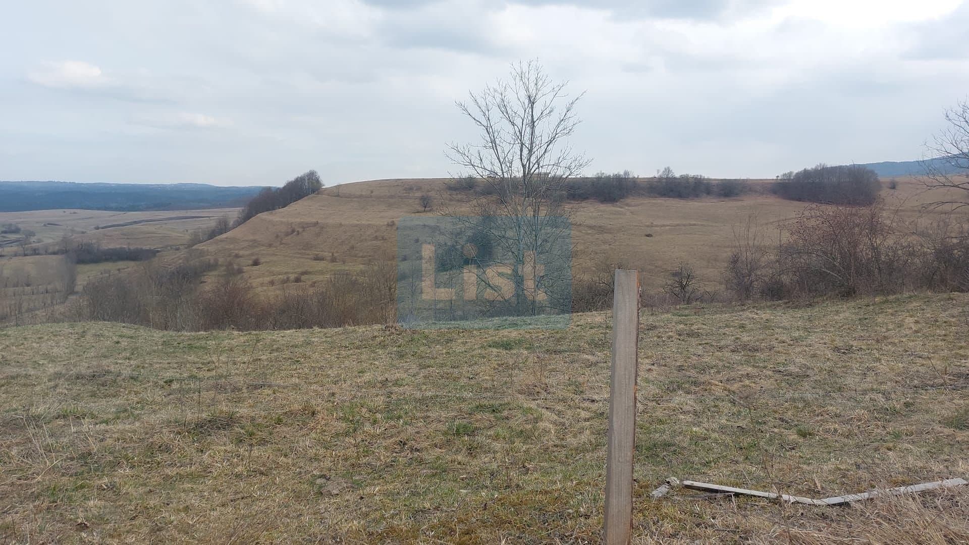 Casa traditionala din lemn renovabila cu teren 2295 mp Margau Cluj — 16