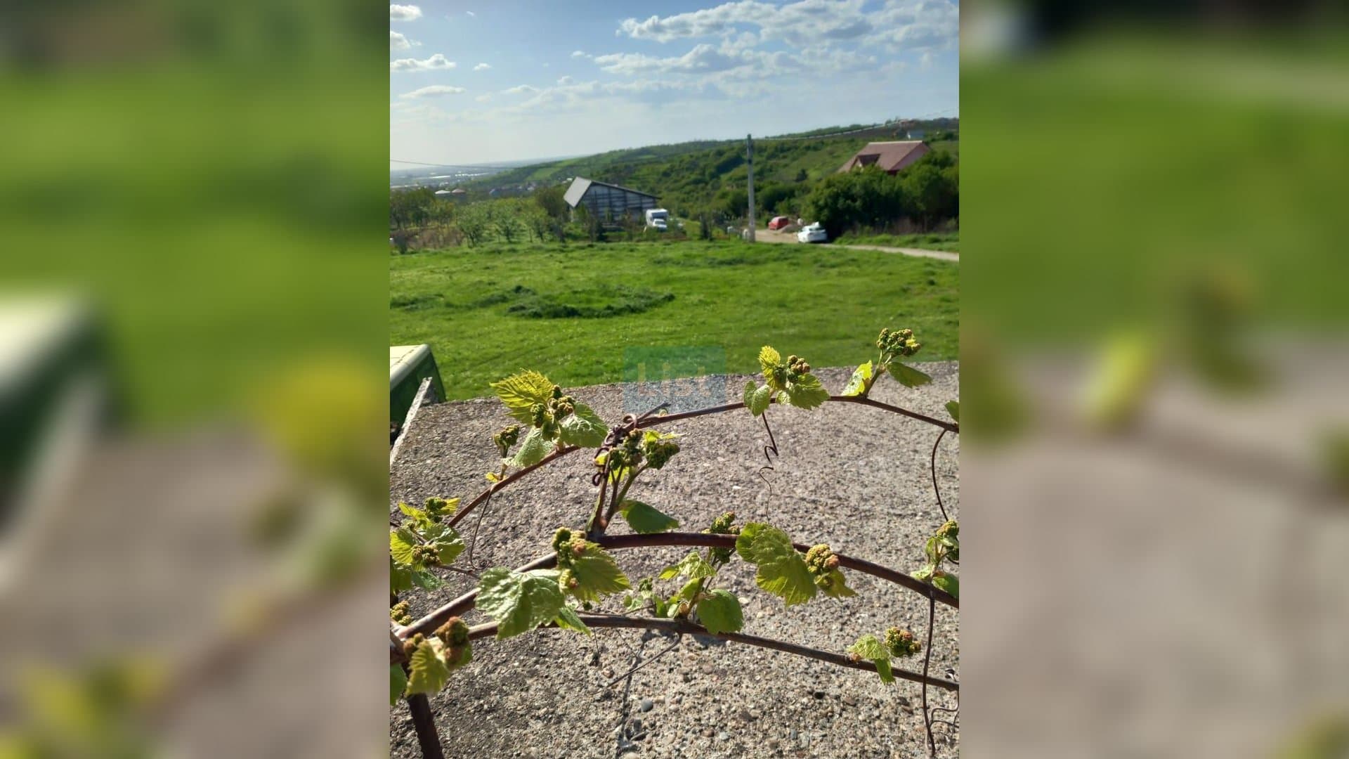 TEREN INTRAVILAN 1.938 MP | PALEU – ORADEA | COMISION 0% CUMPĂRĂTOR — 2